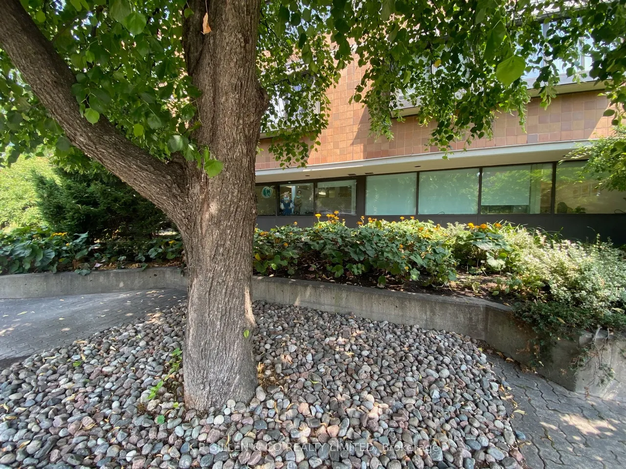 315 Avenue Road — photo 3