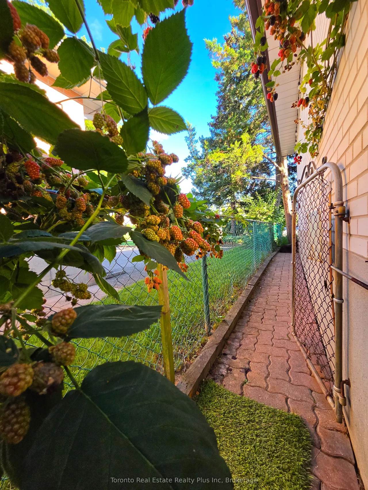 482 Ruth Avenue — photo 45