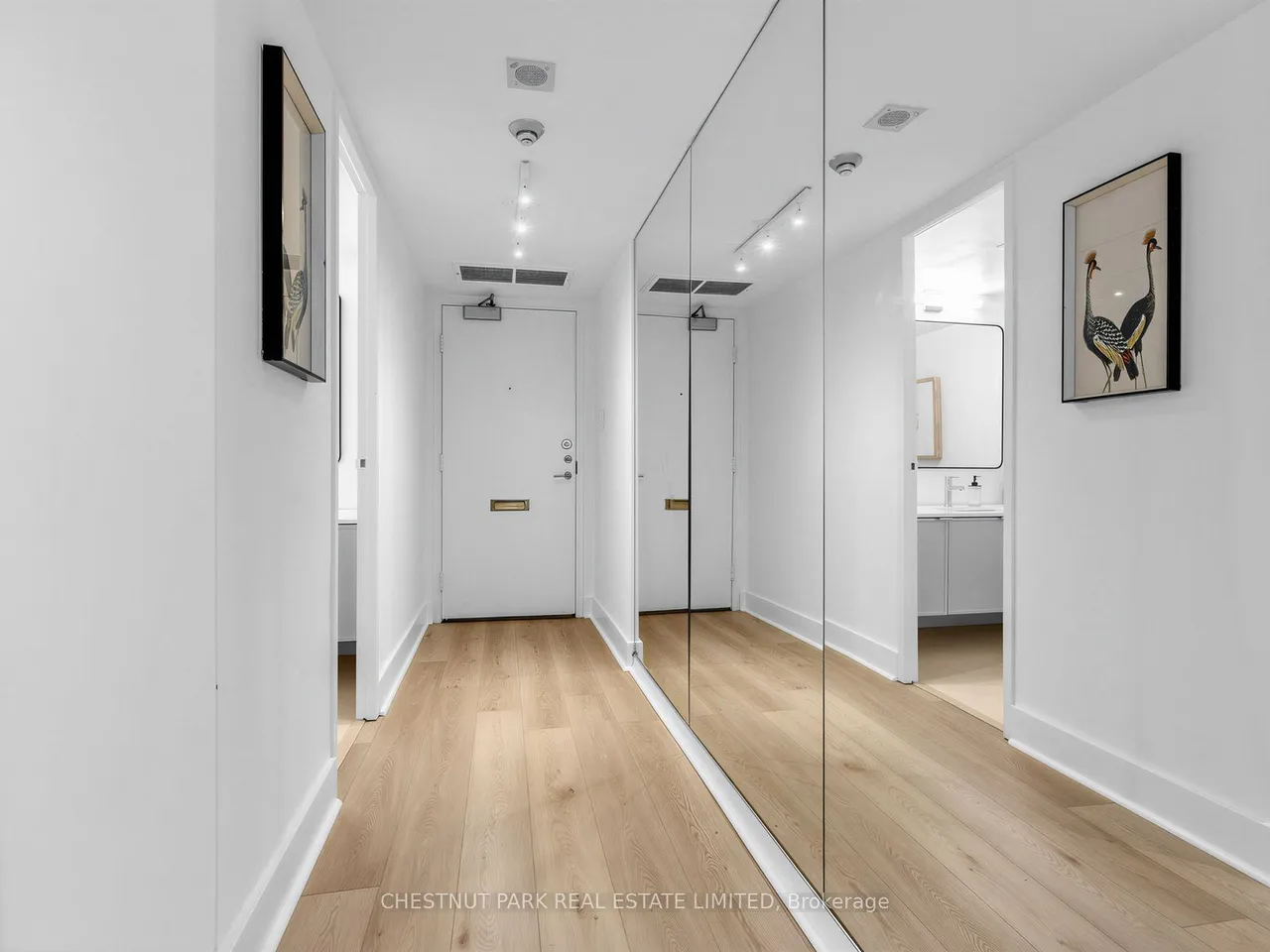 10 Avoca Avenue — photo 3