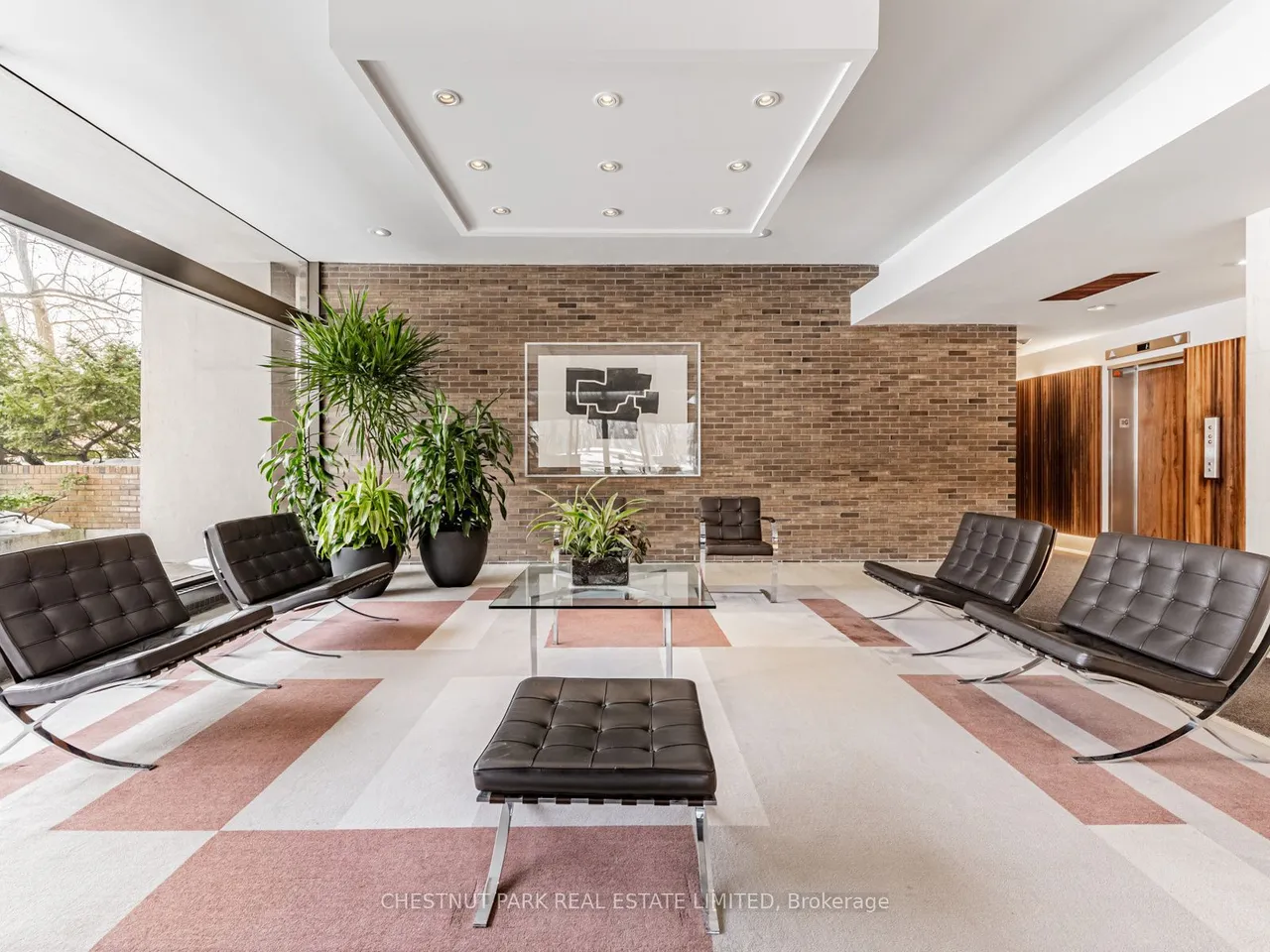 10 Avoca Avenue — photo 33