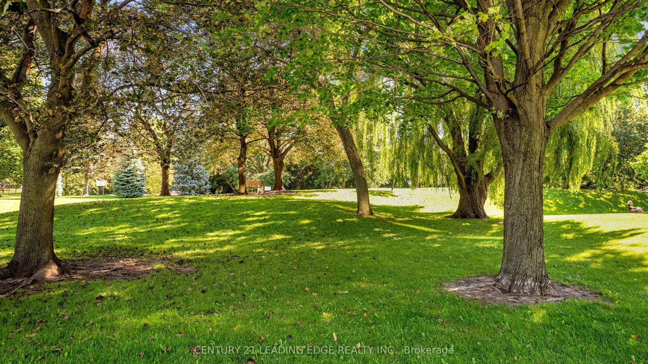 5 Old Sheppard Avenue — photo 49