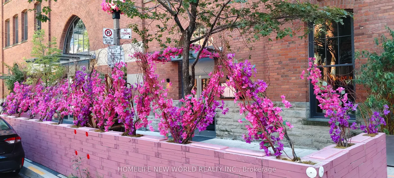75 St Nicholas Street — photo 3