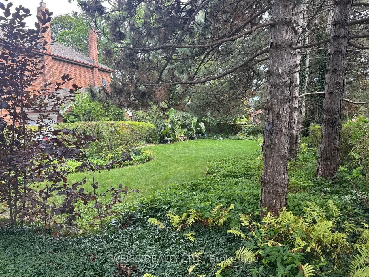 31 Aldburn Road — photo 3