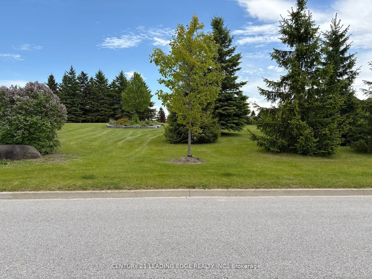 7 Clyde Court — photo 3