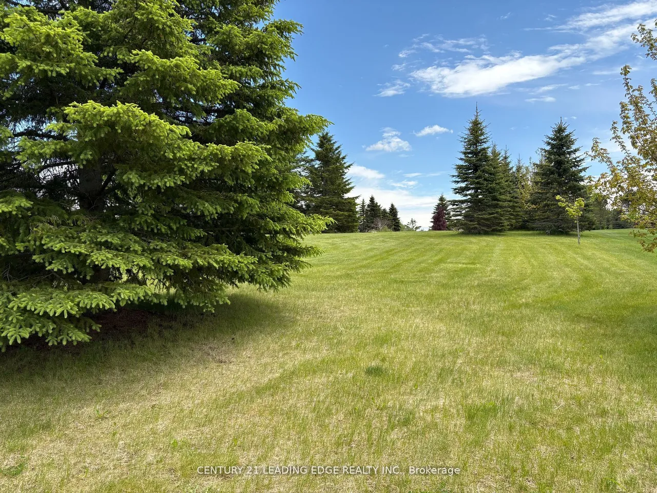 7 Clyde Court — photo 20