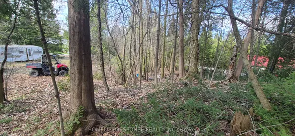 48 WALDWEG N/A — photo 2