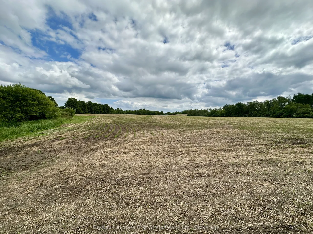 430 Scugog 6 Line — photo 3