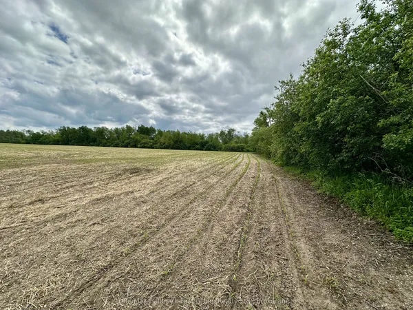 430 Scugog 6 Line — photo 2