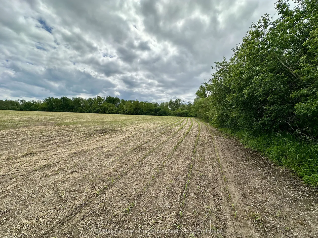 430 Scugog 6 Line — photo 2