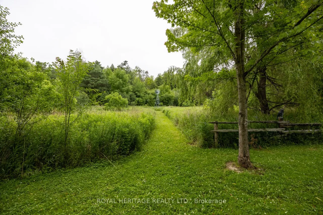 4395 Westney Road N — photo 49