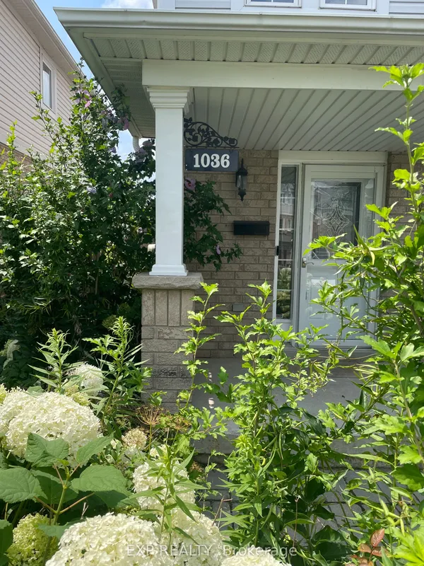 1036 Southport Drive