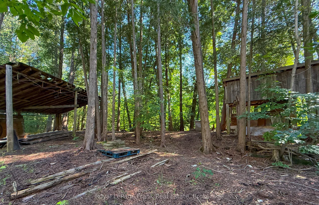 14125 Regional Rd 57 — photo 33