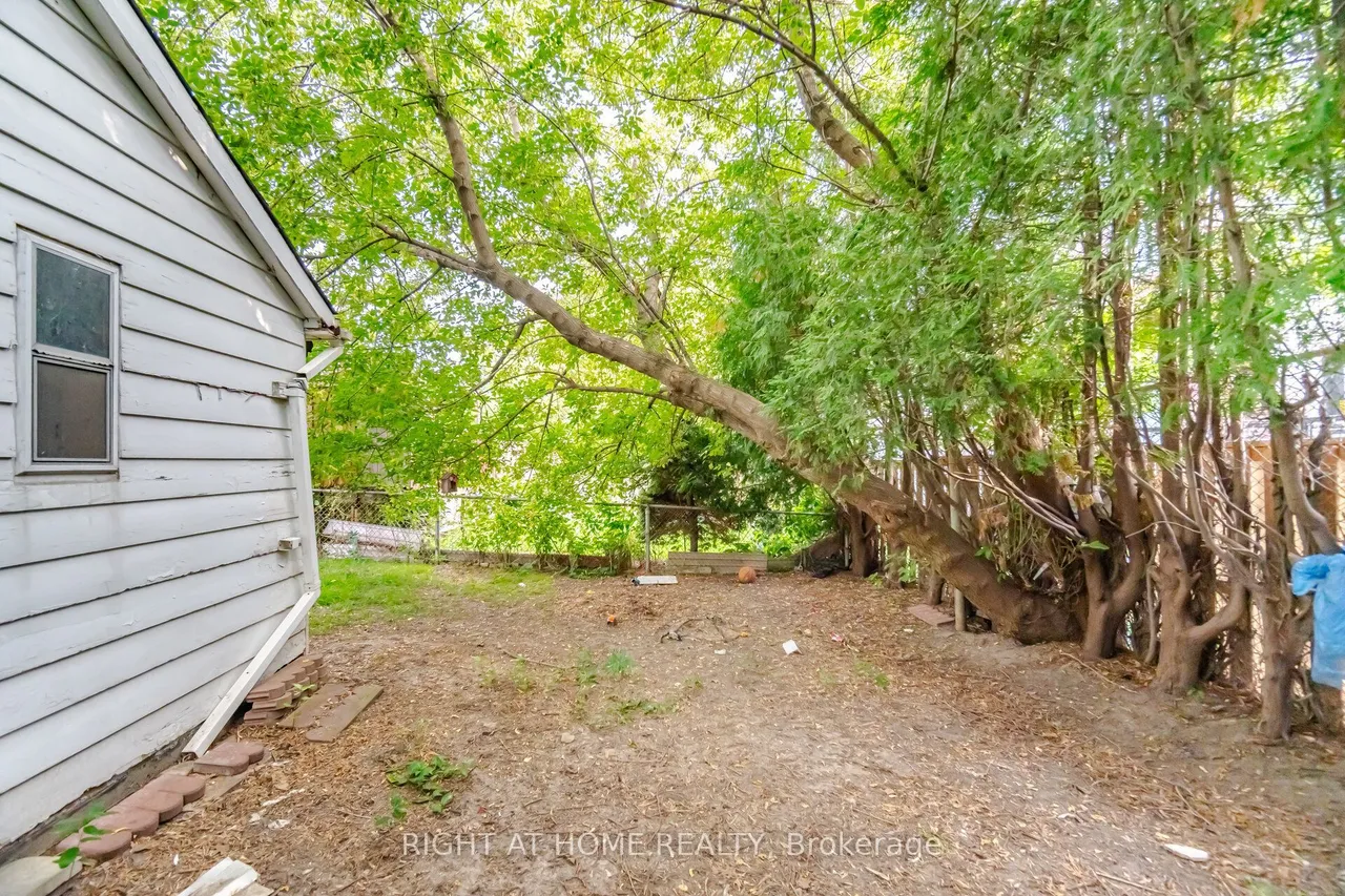 36 Rushley Drive — photo 43