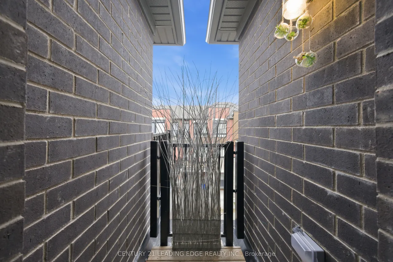 12 Coppini Lane — photo 30