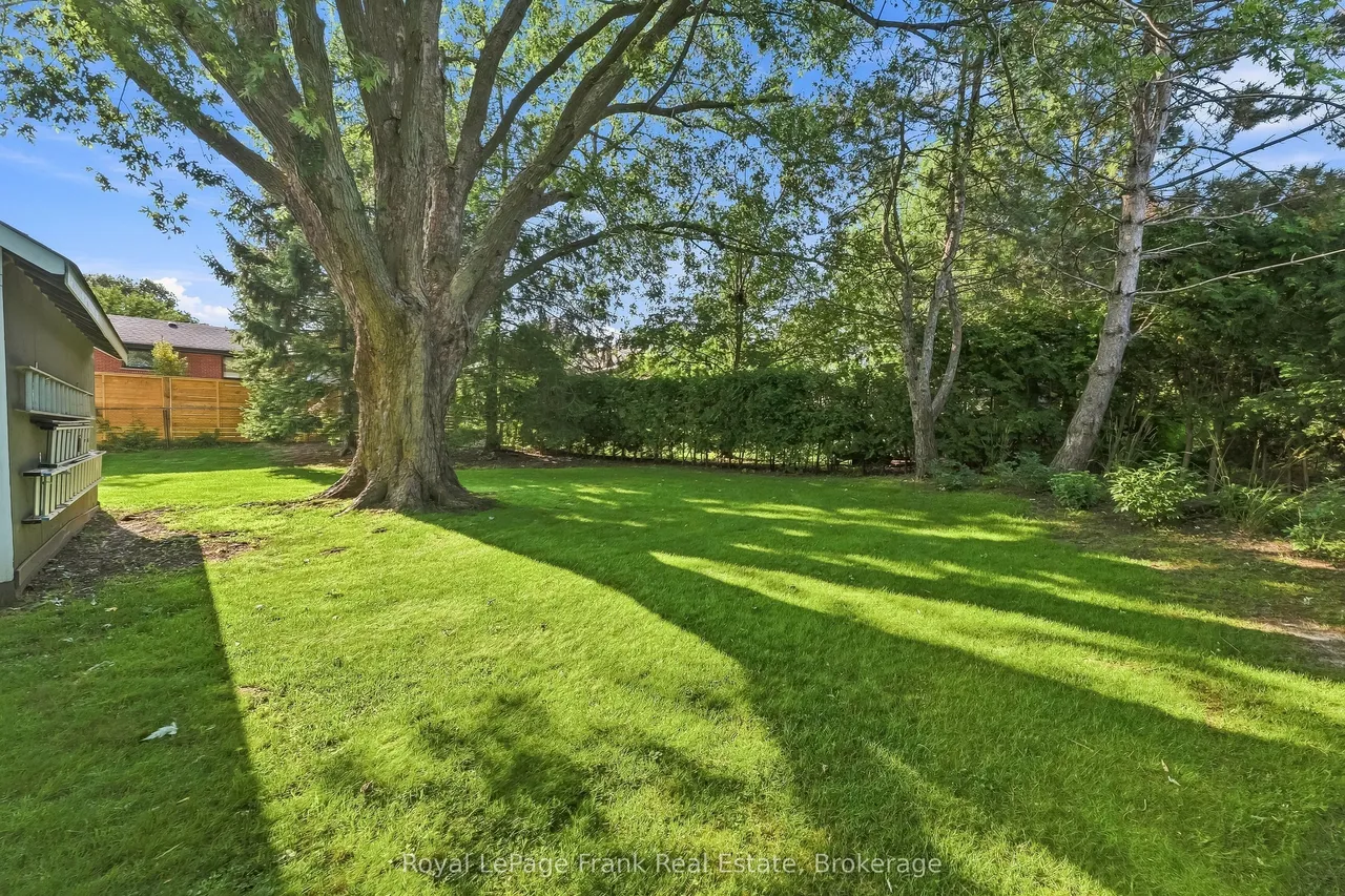 559 Alma Street — photo 48