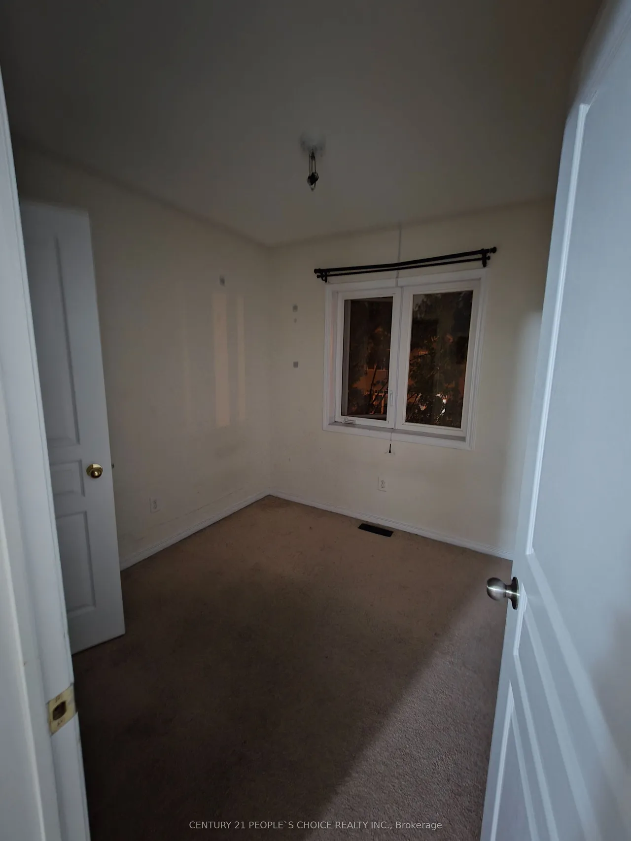 5 Curran Hall Crescent — photo 18