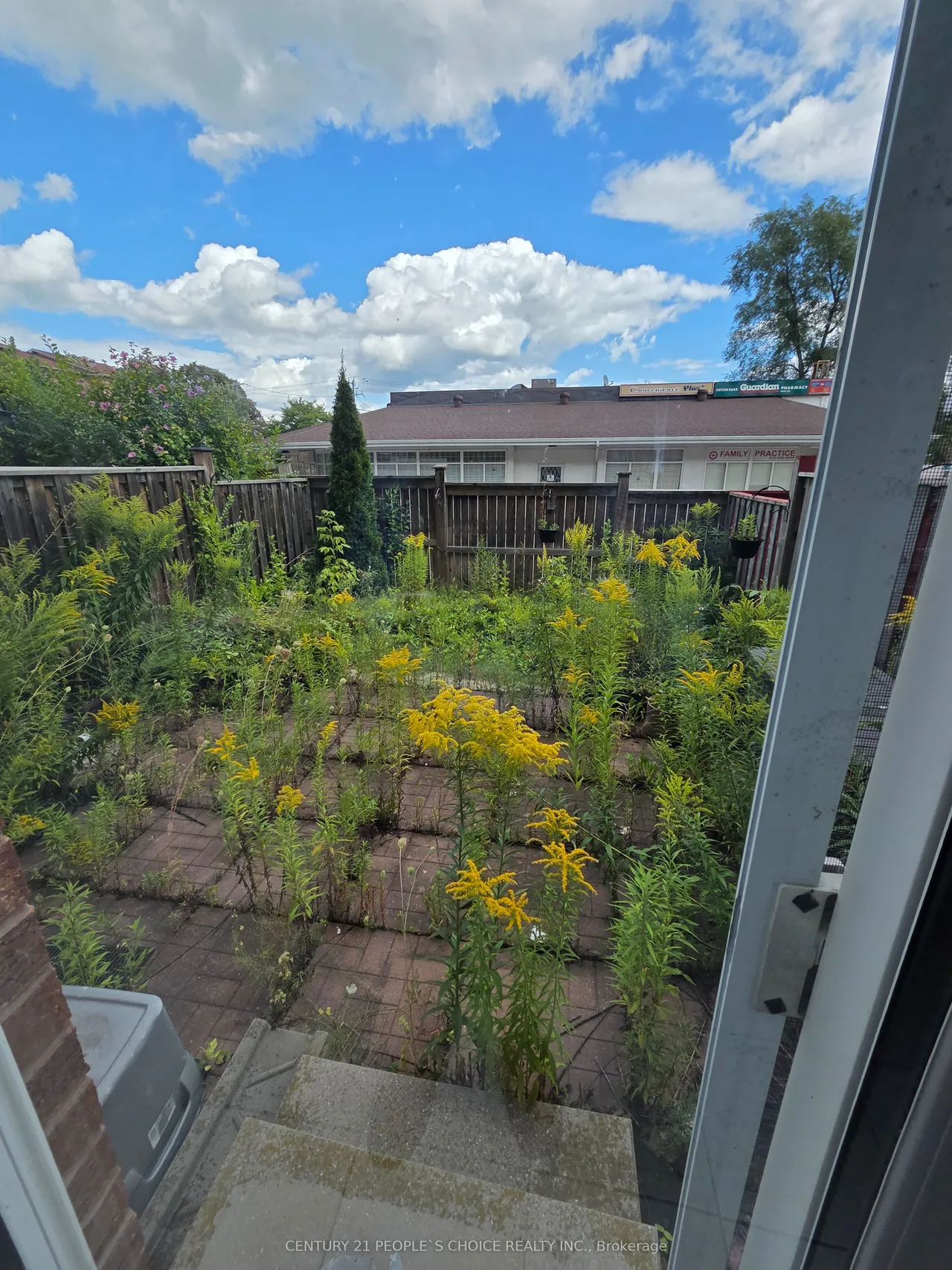 5 Curran Hall Crescent — photo 19