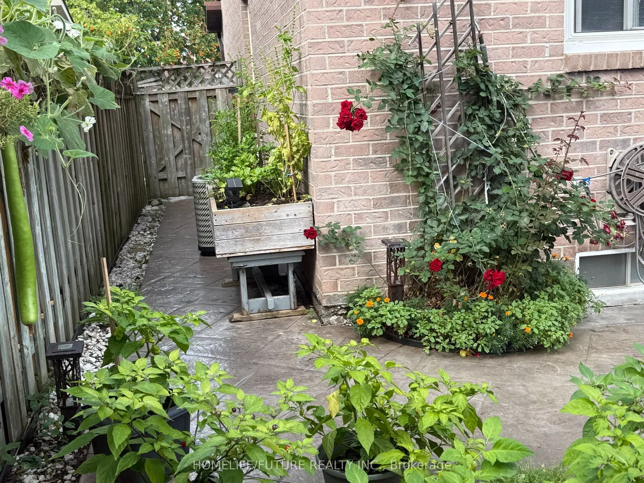 17 Chadwick Drive — photo 16