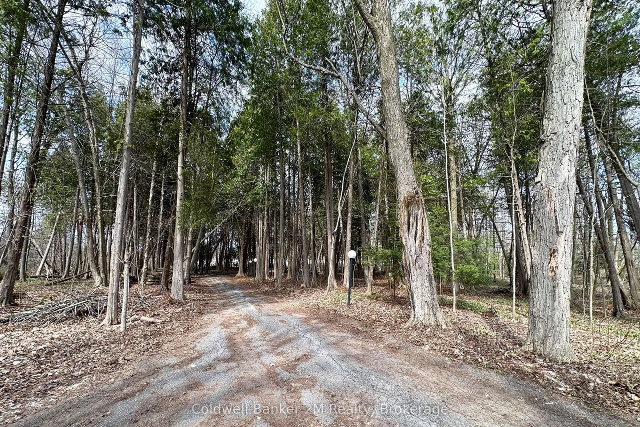 14900 Regional Rd 57 — photo 2