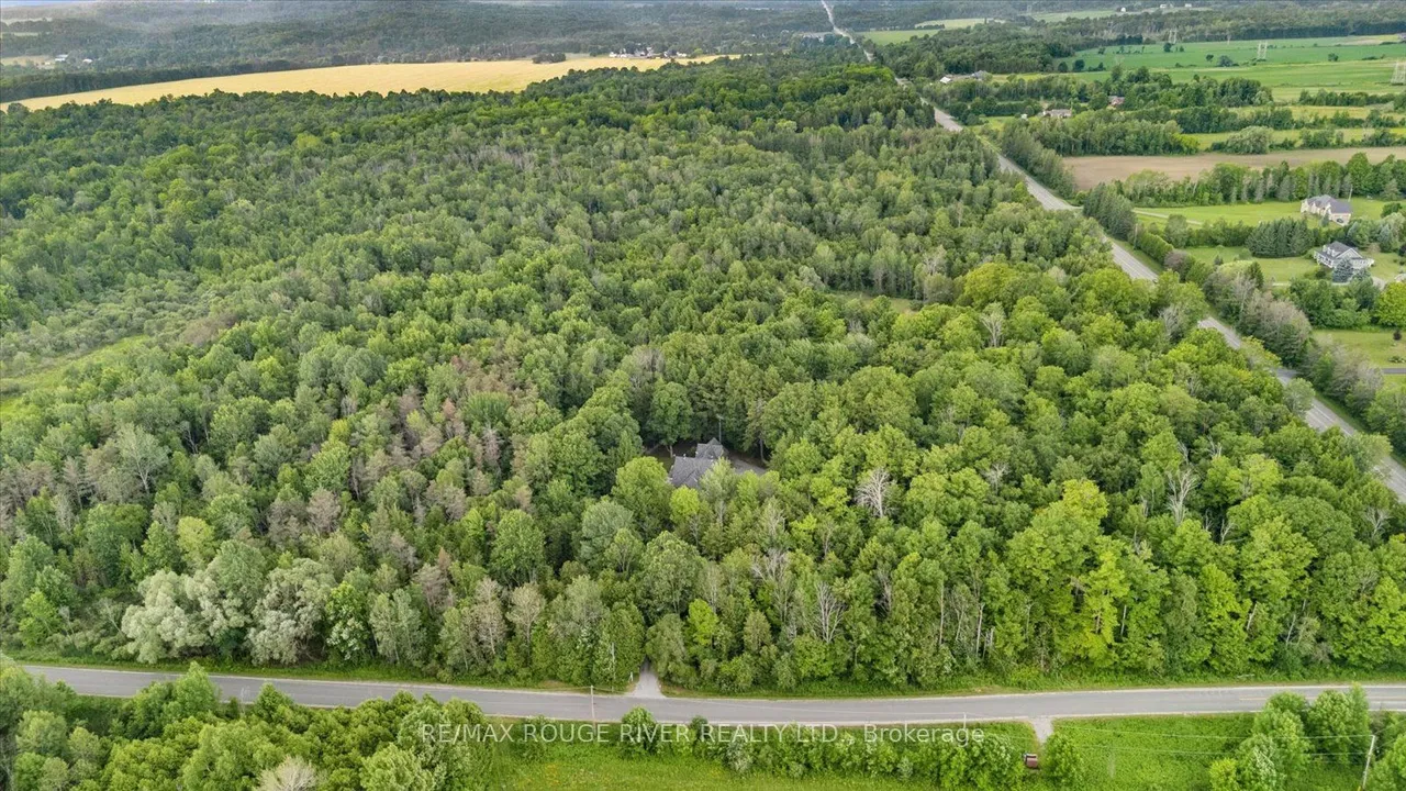 6954 Shiloh Road — photo 35