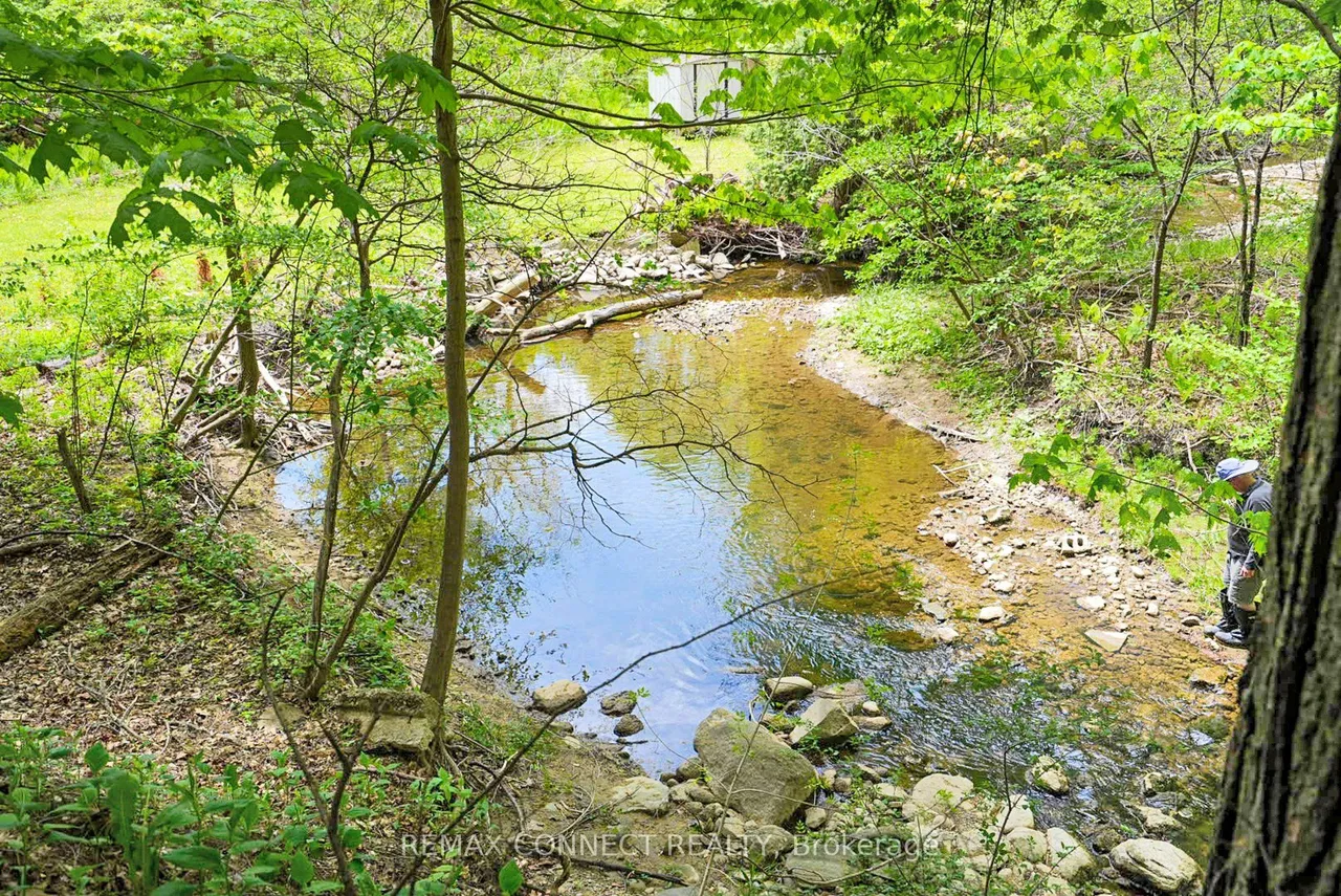 1436 Highbush Trail — photo 40