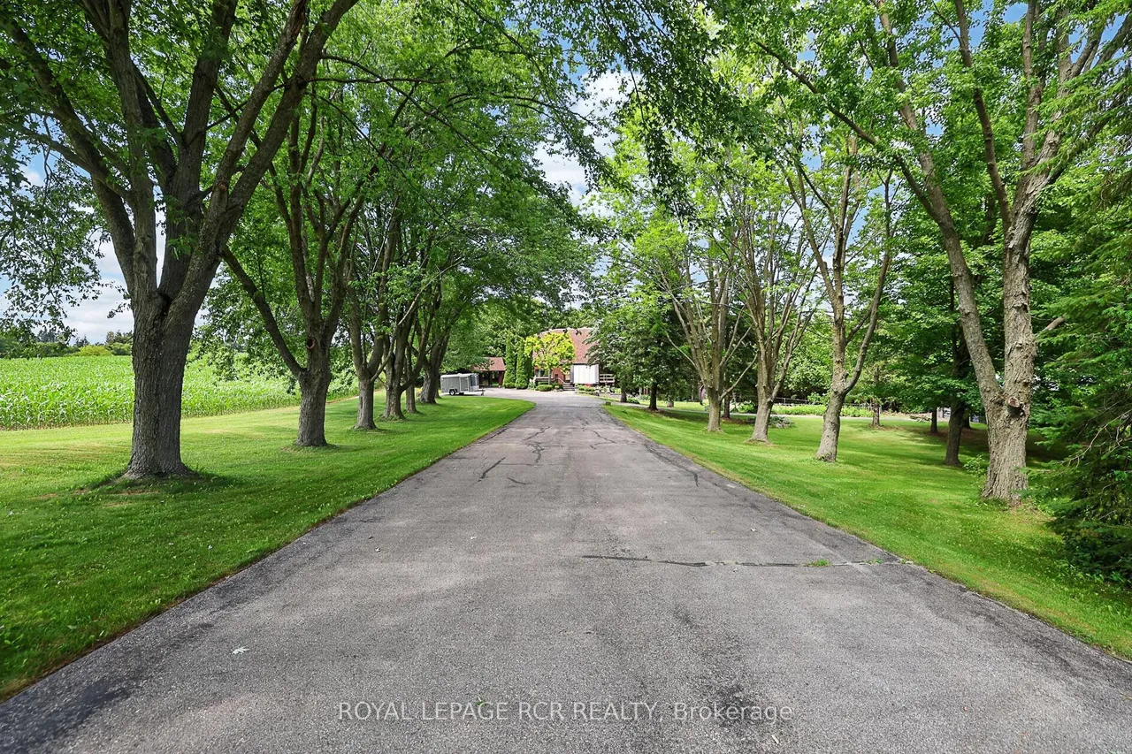 502 Townline Road — photo 3