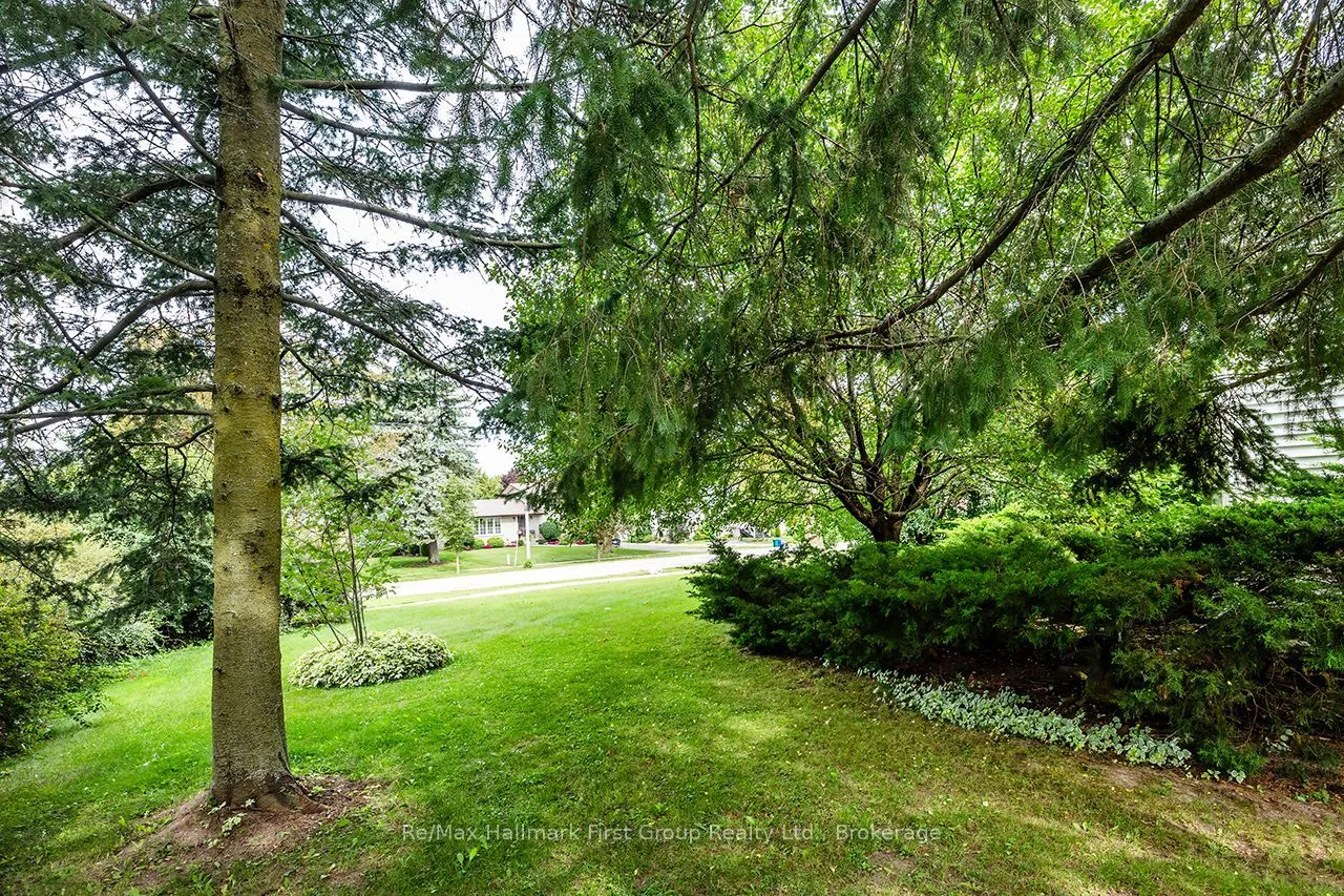 359 Sexton Street — photo 20