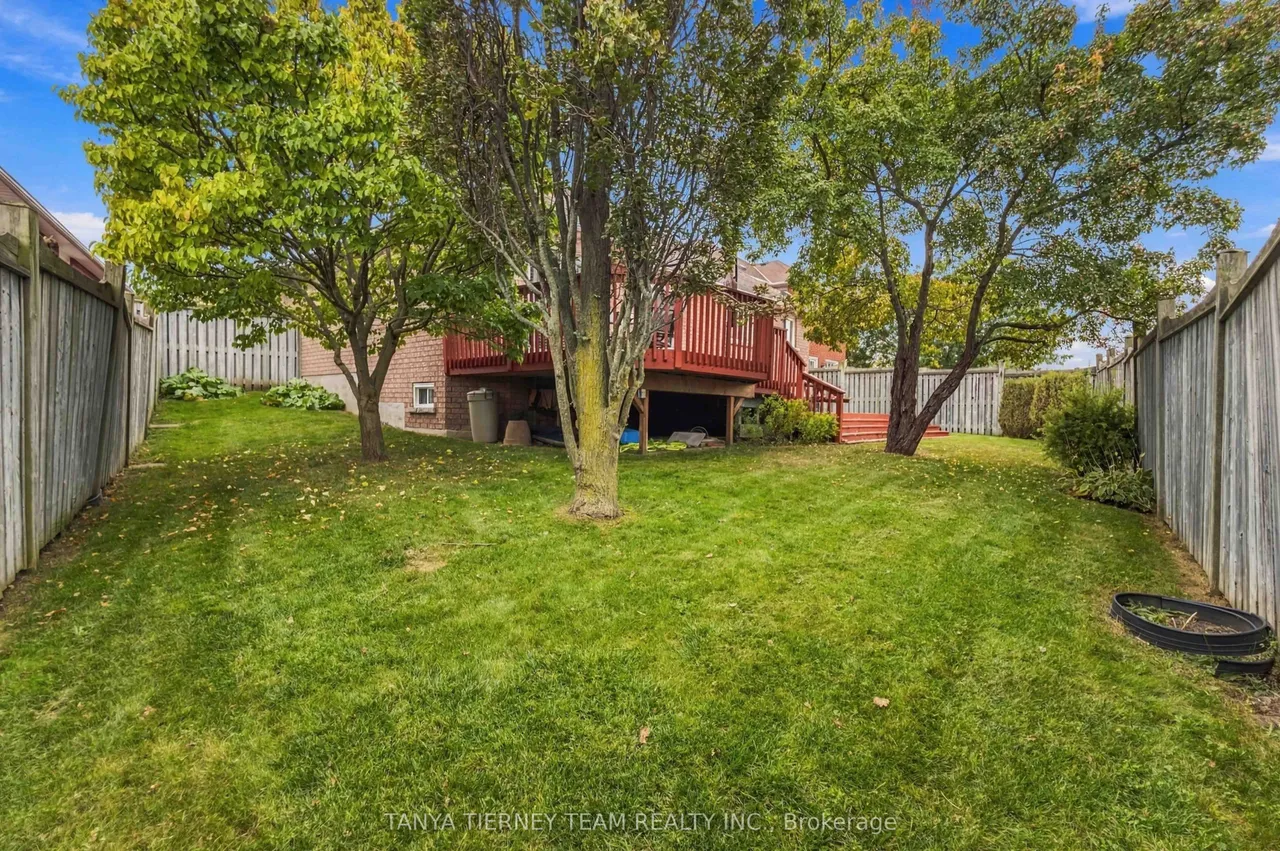 5 Padfield Drive — photo 43