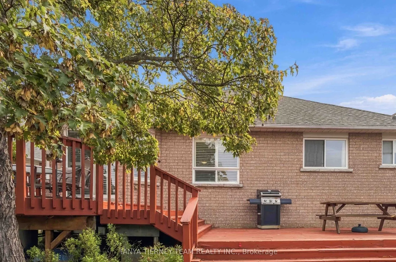 5 Padfield Drive — photo 42