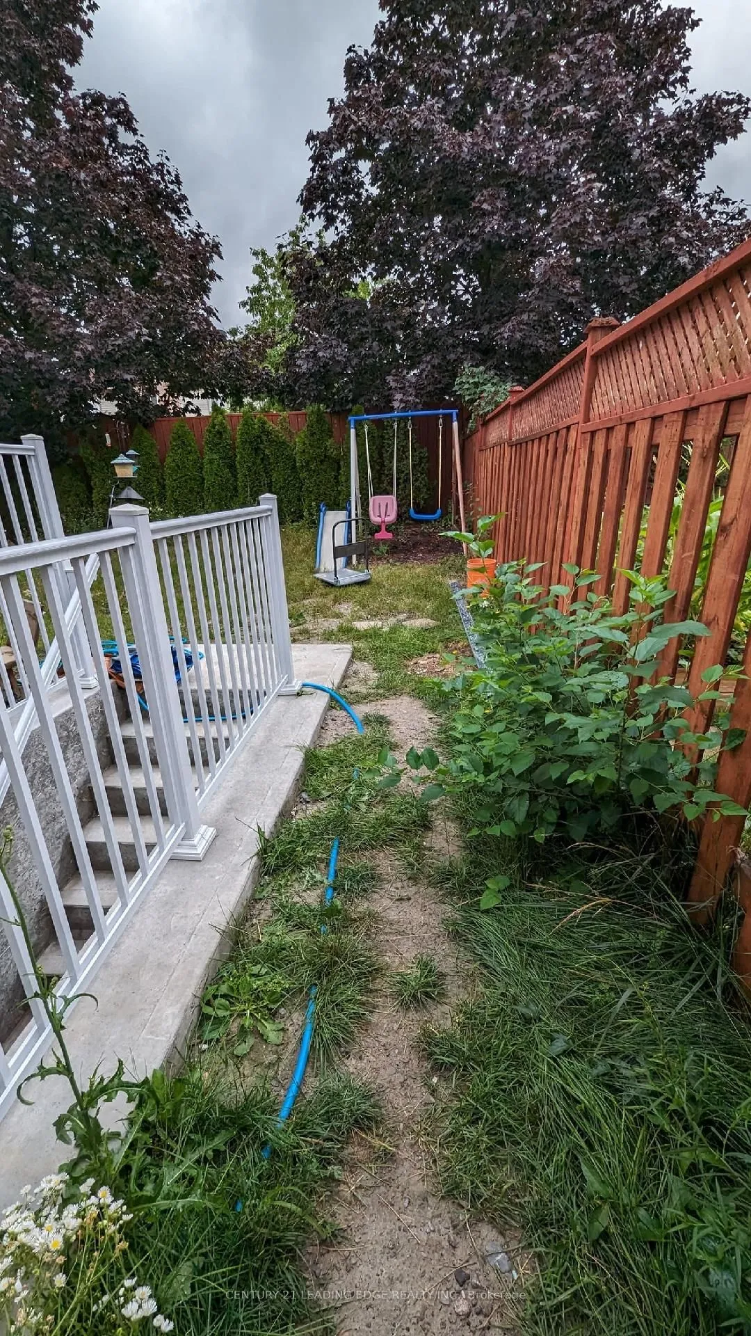 5 Vintage Drive, Unit Basement — photo 3