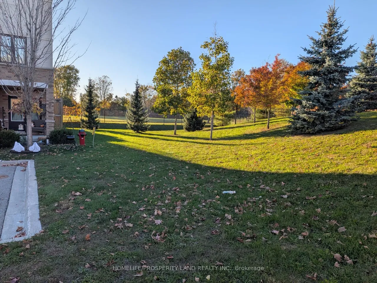 64 Jerseyville Way — photo 8