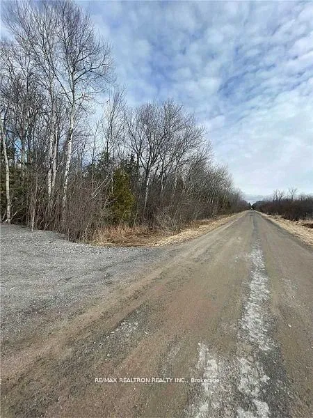 Ptlt 11 Concession 14 Road — photo 5