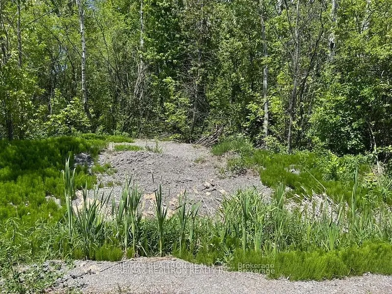 Ptlt 11 Concession 14 Road — photo 6