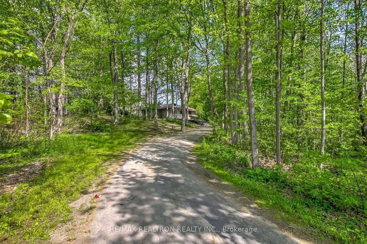9563 Warden Avenue — photo 2