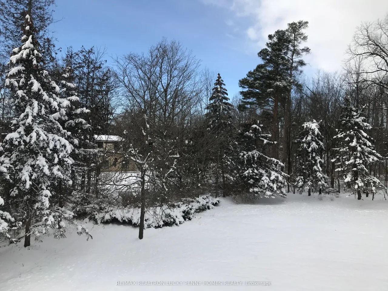 18 Walnut Glen Place — photo 47