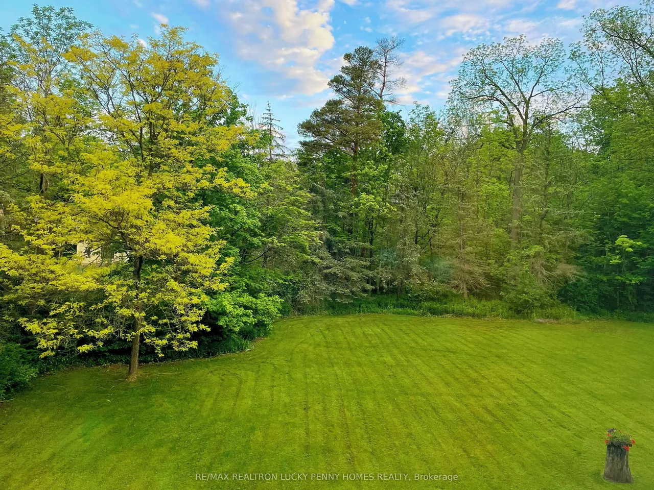 18 Walnut Glen Place — photo 46