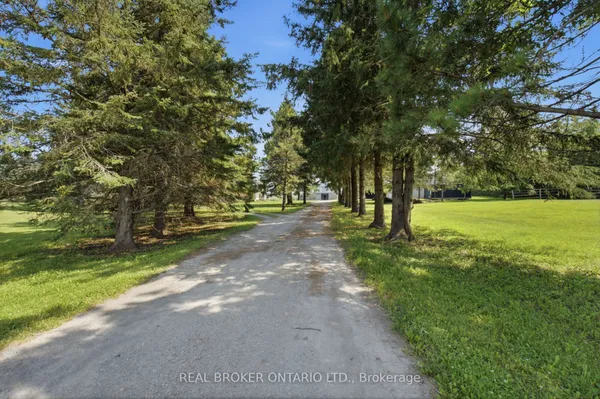 785 Reid Road — photo 2