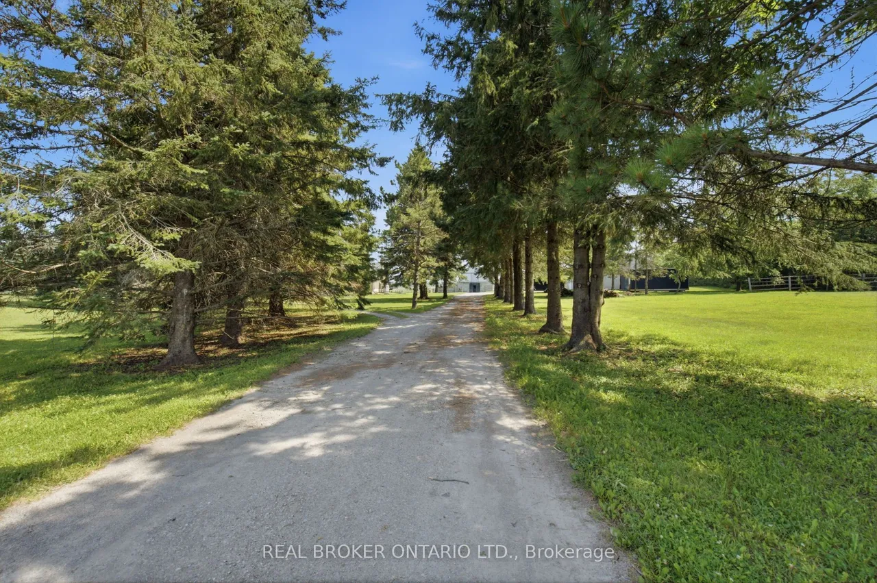 785 Reid Road — photo 2