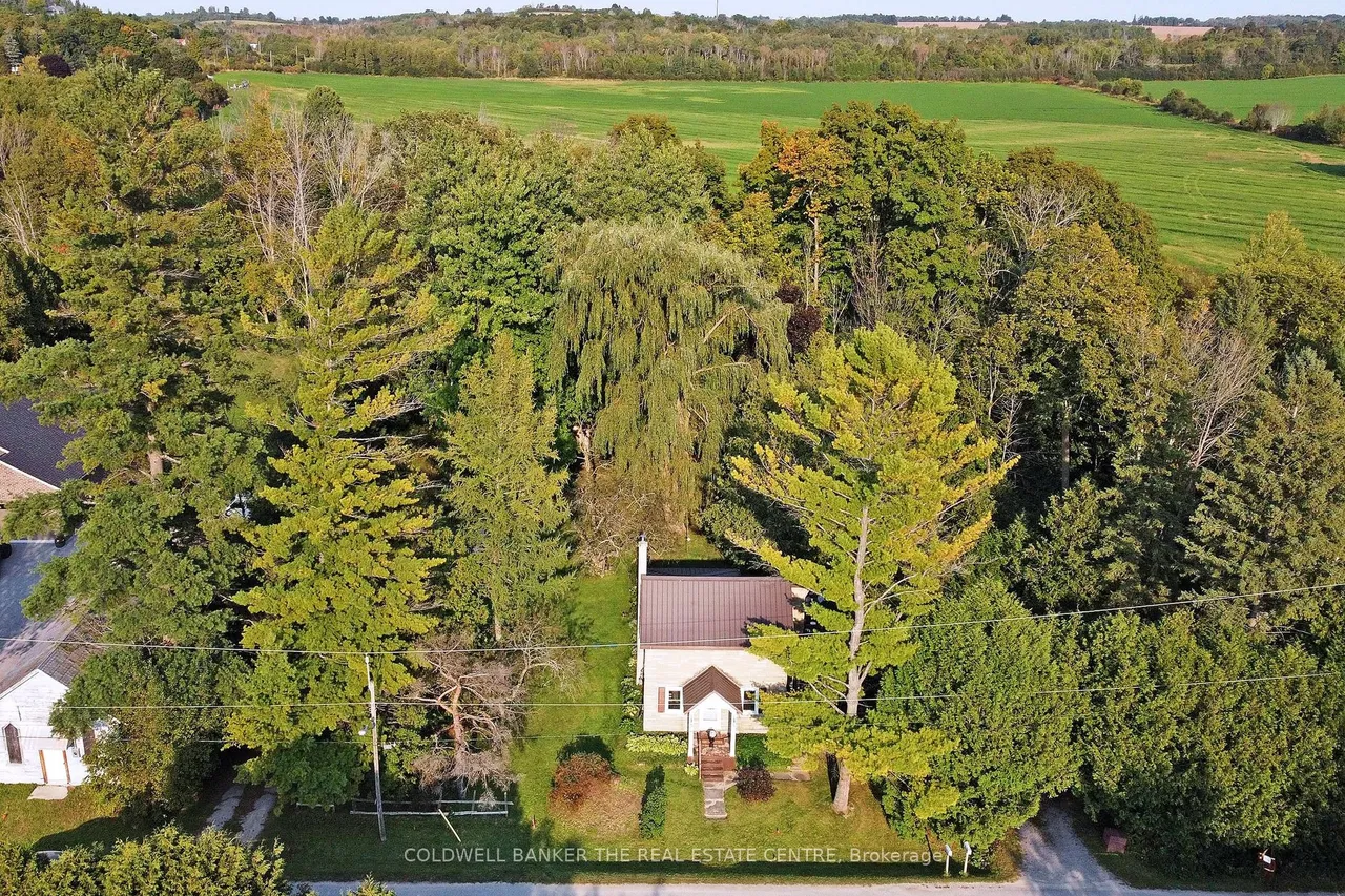 20805 Brock Road — photo 37