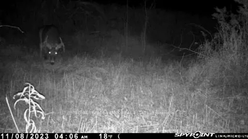 PT LT 7 CON 6 Brock — photo 16