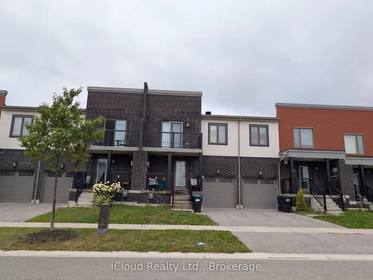 58 Brown Bear Street