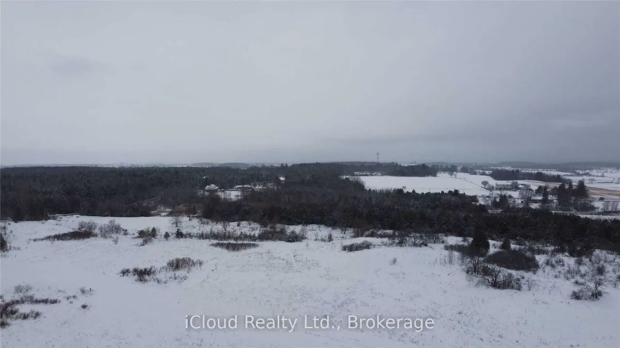 58 Brown Bear Street — photo 19