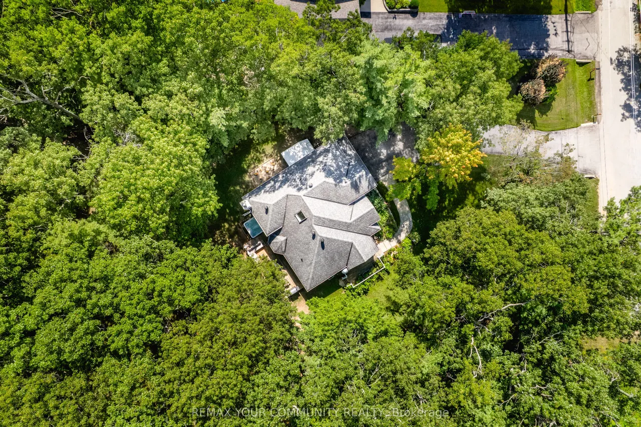 321 Miller Drive — photo 49