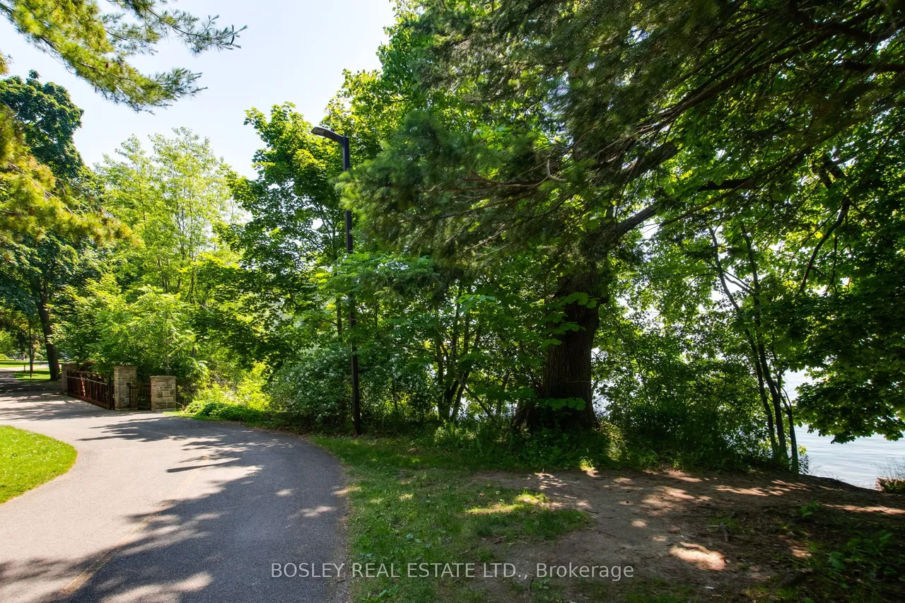 7 Godfrey's Lane — photo 45