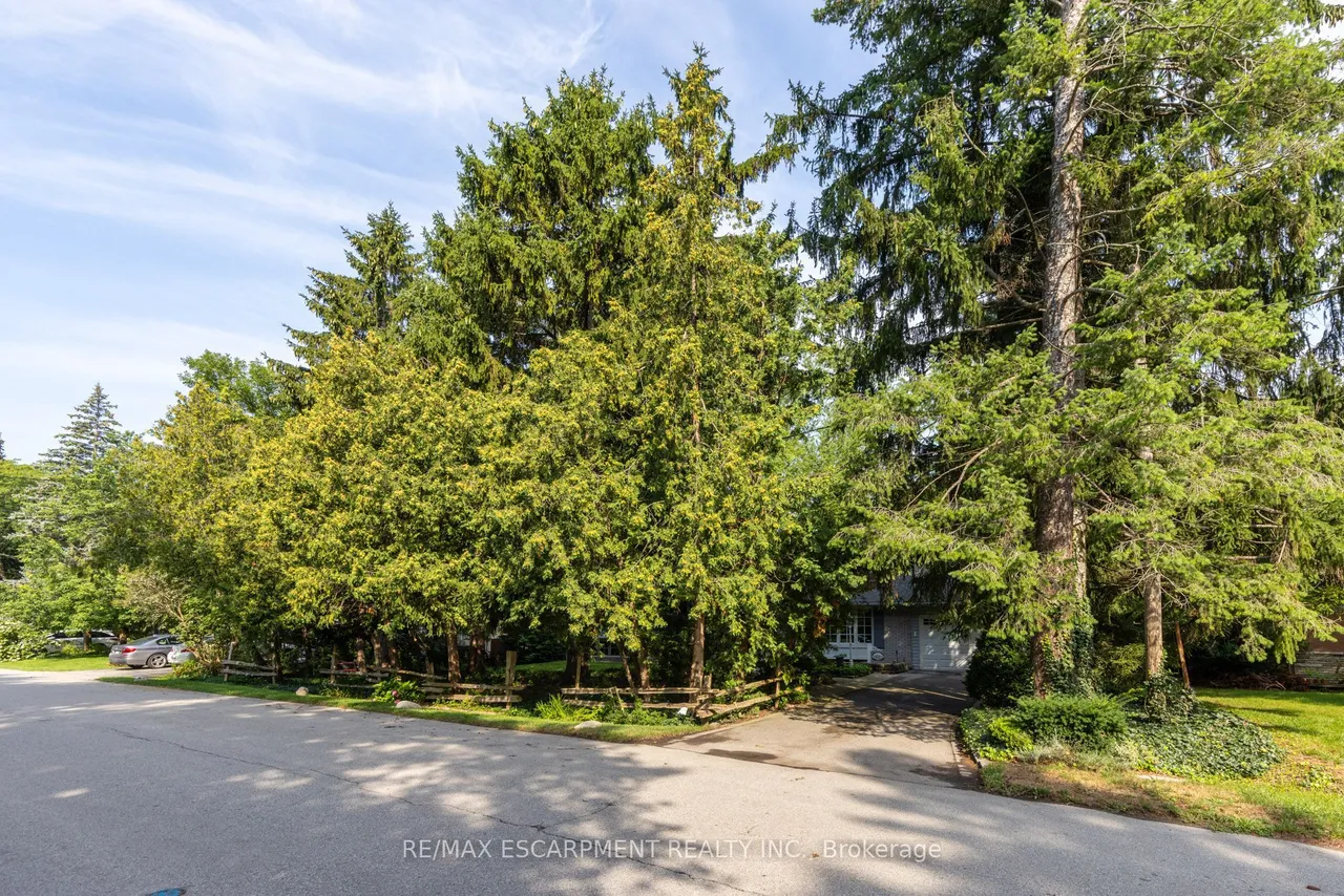 401 Cairncroft Road — photo 31