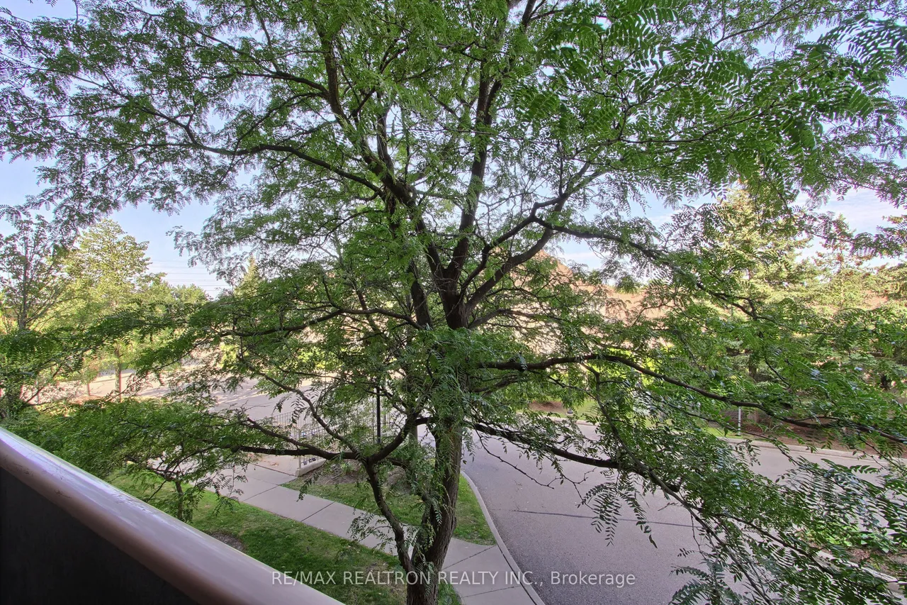 3 Dayspring Circle — photo 24