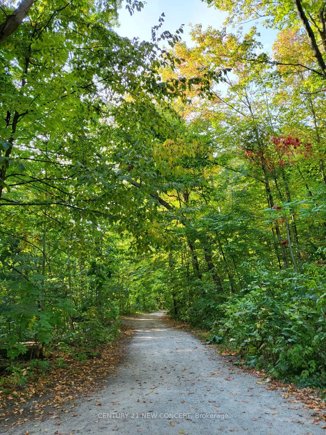 1905 Broad Hollow Gate — photo 27