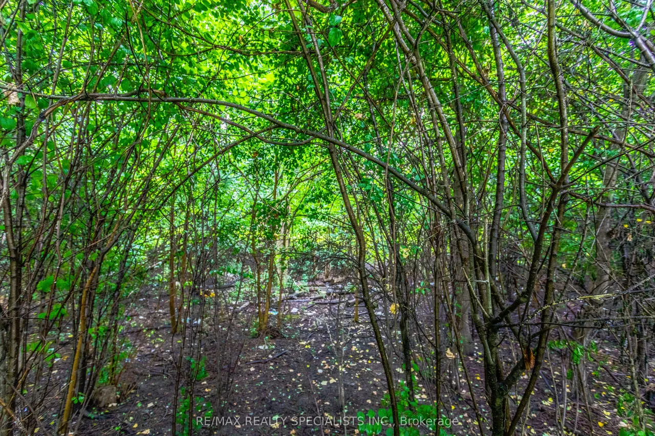 6343 Alderwood Trail — photo 49