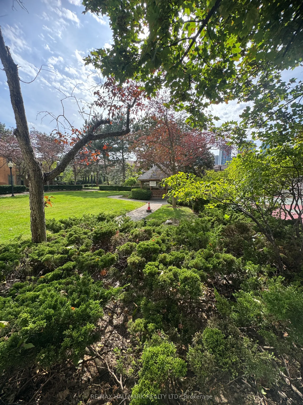 55 Elm Drive W — photo 29