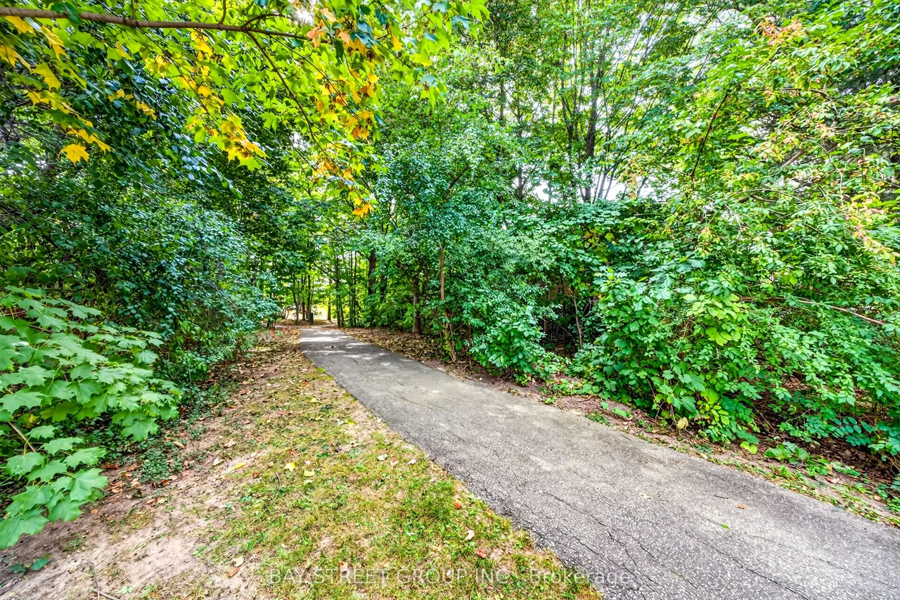 2439 Musket Court — photo 41